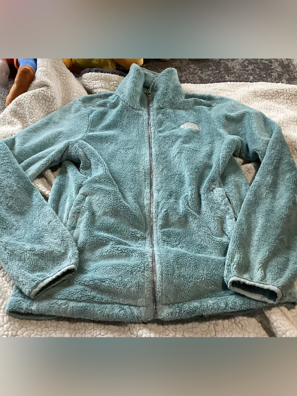 The Northface Women's Osito Fleece Jacket Aqua Seafoam Green Small